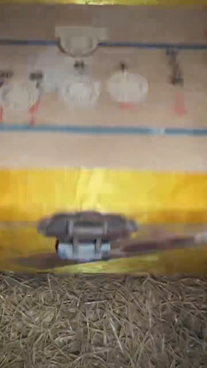 香榧木摆件多样性发其一