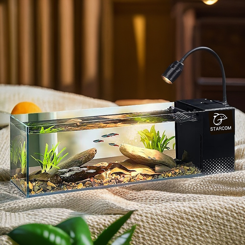 新款桌面溪流缸侧滤一体式过滤制氧家用生态造景鱼缸