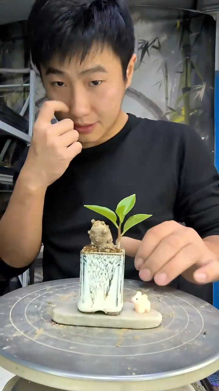 p****t中青园艺一物一拍花202