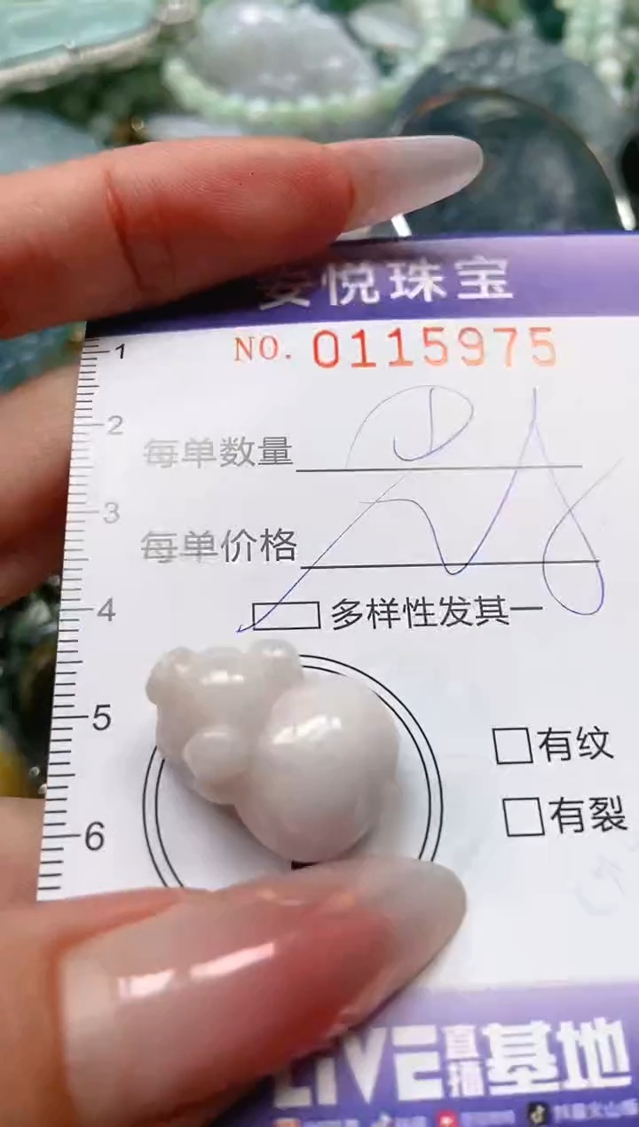 【闪购商品】翡翠颈饰未镶嵌闪购0115975多样性发其一