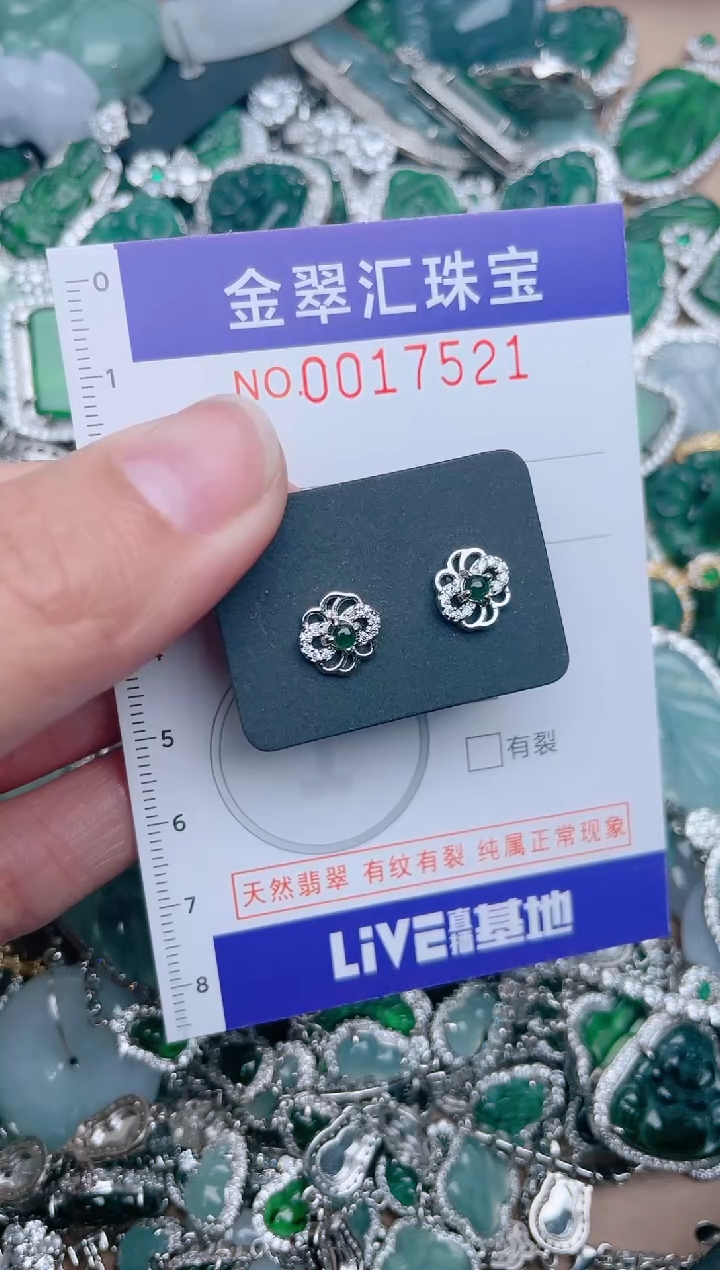 【闪购商品】翡翠颈饰未镶嵌17521........1