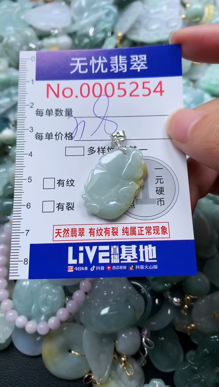 颈饰未镶嵌翡翠5254