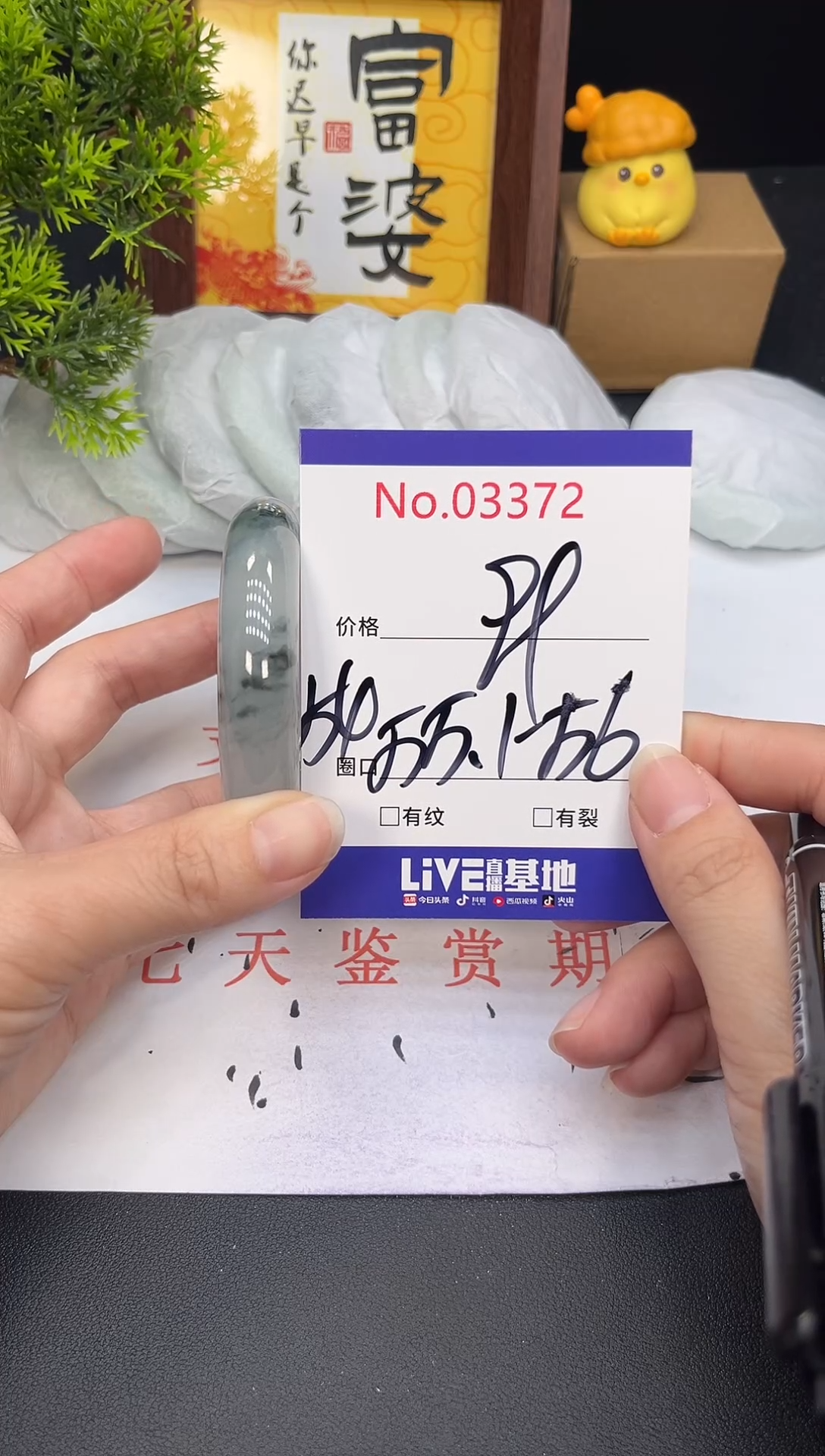 未镶嵌手镯翡翠3372