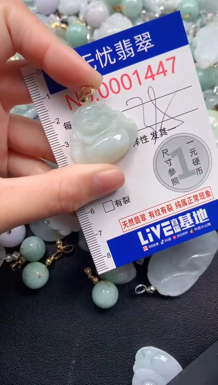 颈饰未镶嵌翡翠1447