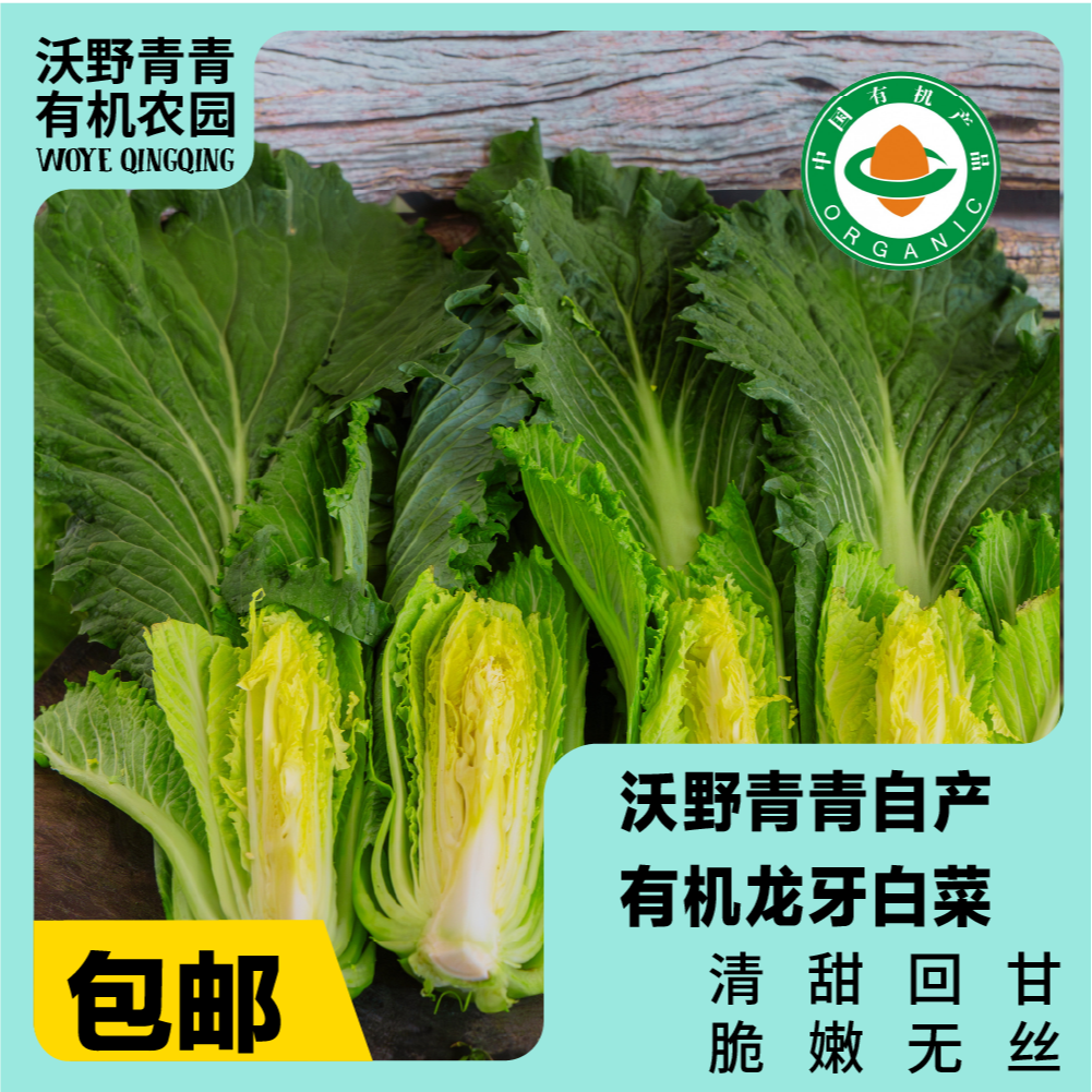 沃野青青（有机）龙牙白菜  基地发货 顺丰包邮