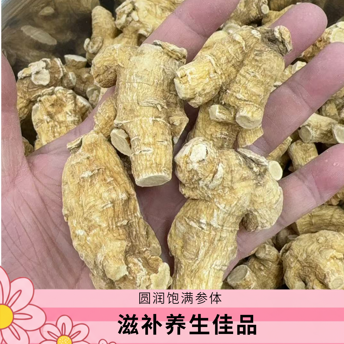 清源堂参茸正品精选足龄老参20克粒头参参段纹路清晰西洋参可切片