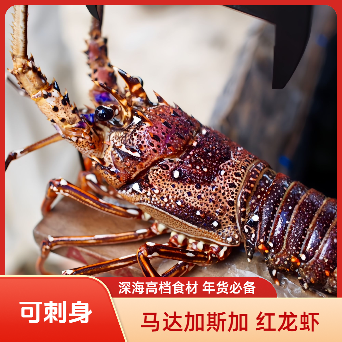 进口红龙虾刺身级马达加斯加 深海捕捞船冻锁鲜鲜甜年货顺丰包邮