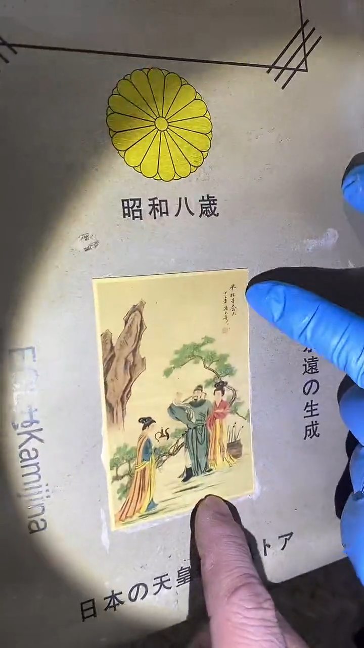 【闪购商品】贝壳手串/手链6啊啊啊啊啊啊啊啊啊啊啊阿