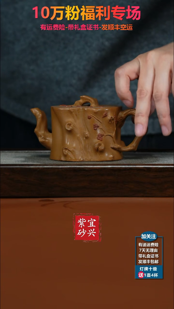茶壶紫砂蒋静明老段泥梅花树桩220CC