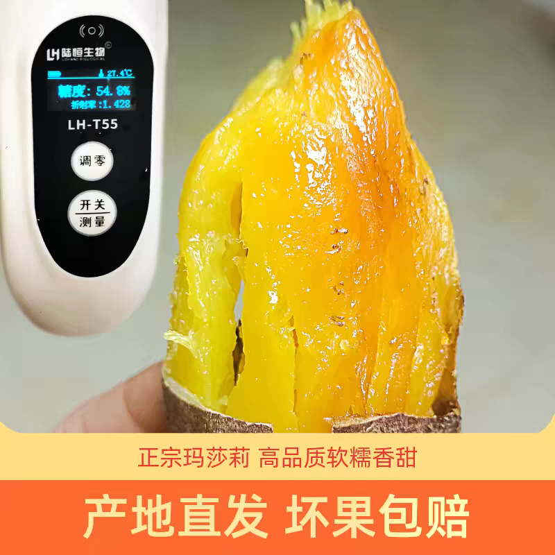 玛莎莉、榴莲蜜薯、紫皮柒7薯、康平地瓜红毛、黄金地瓜、紫皮山芋包邮