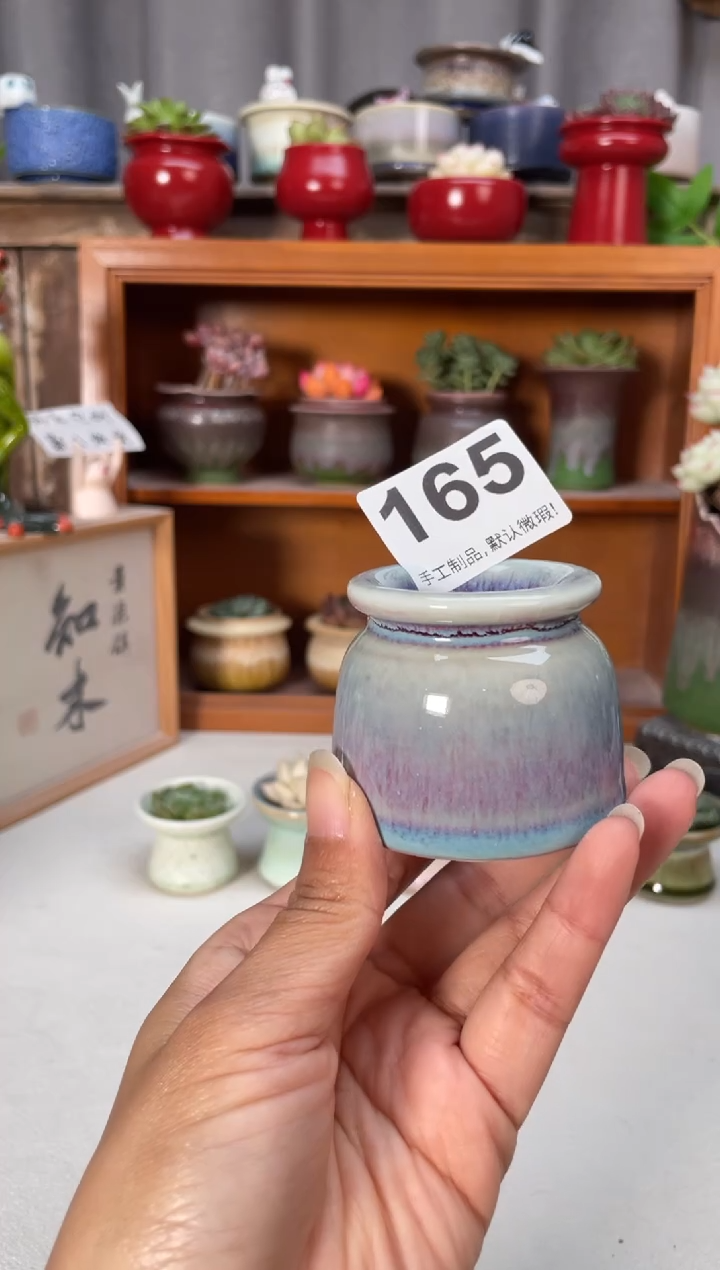 瓷片165小芳花盆直播编号