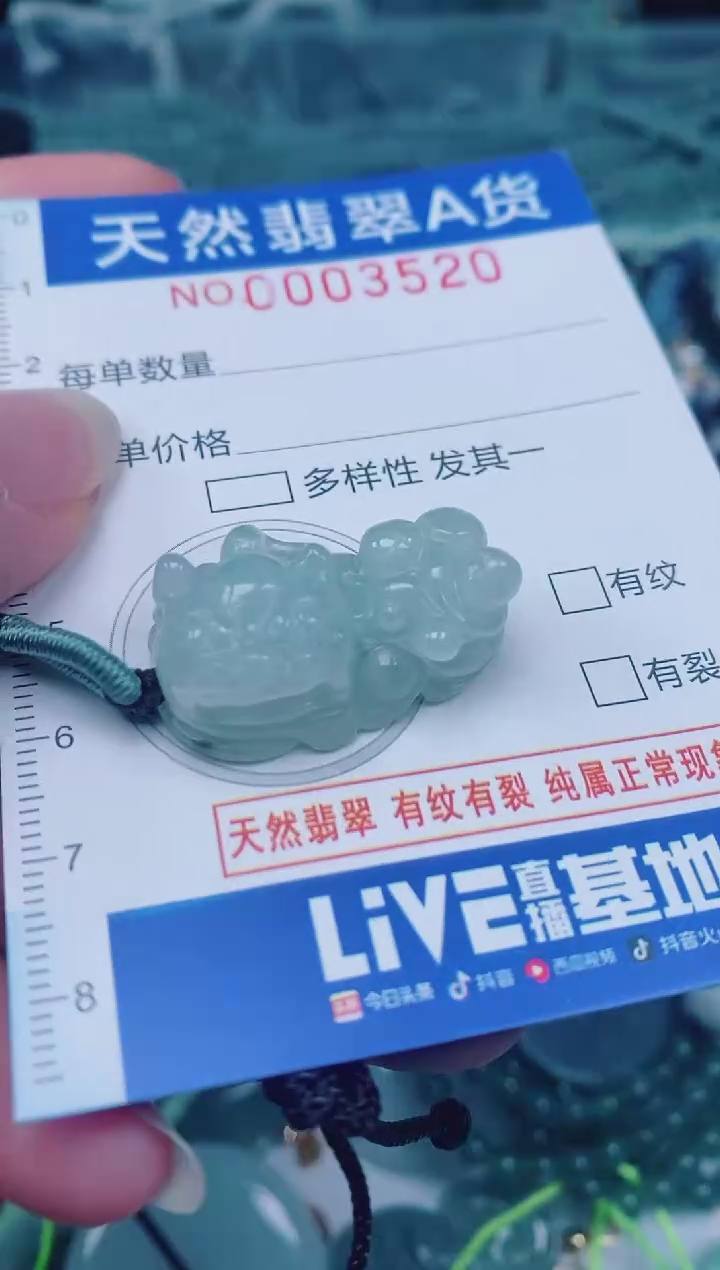 颈饰未镶嵌翡翠00003520