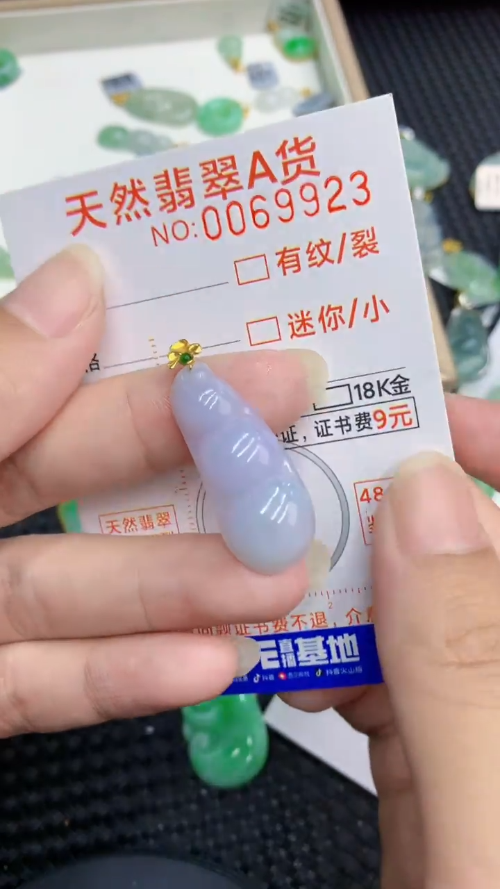【闪购商品】翡翠颈饰18K金镶嵌            8