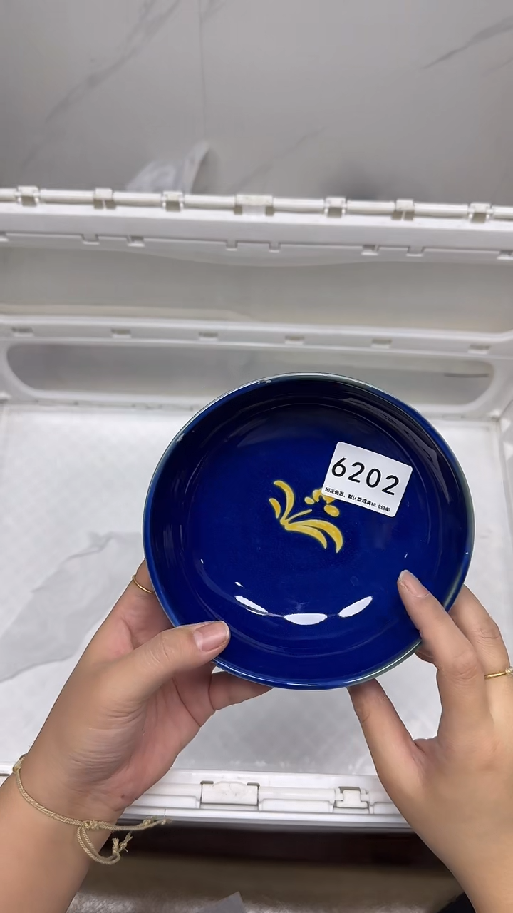 【闪购商品】6202回流瓷器默认微瑕，18.8包邮