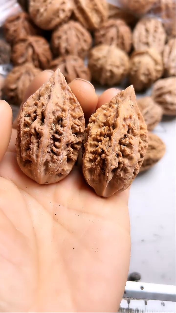 核桃东北野生大秋子3