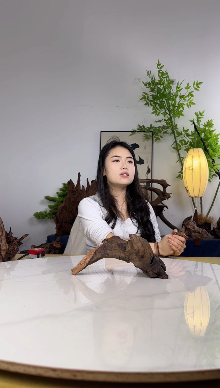 江*拍沉木定向链接编号30