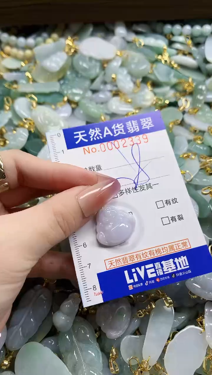 颈饰未镶嵌翡翠天然A货翡翠