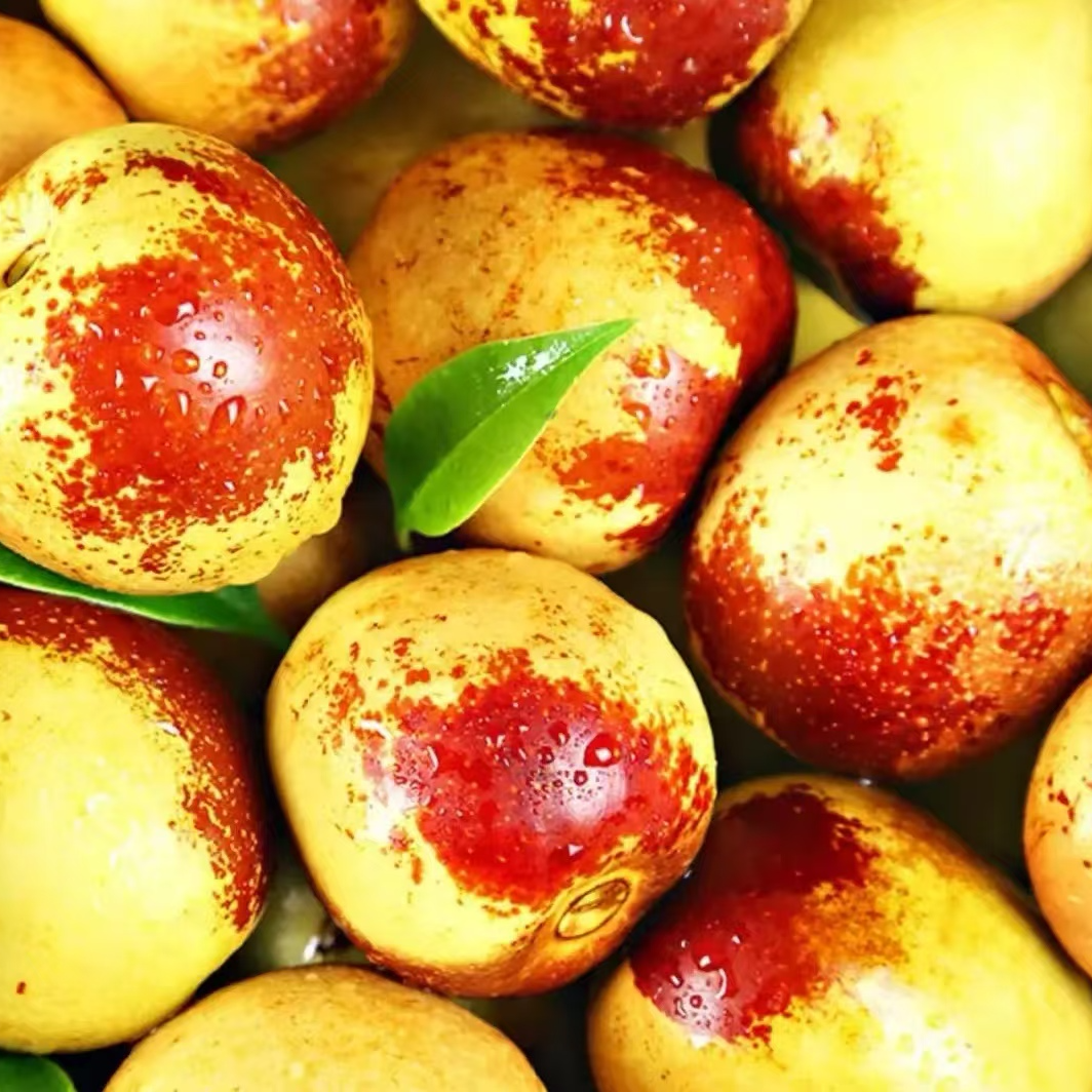 【拉萨水果同城配送】冬枣陕西大荔冬枣纯甜嘎嘎脆甜1-3-5斤装