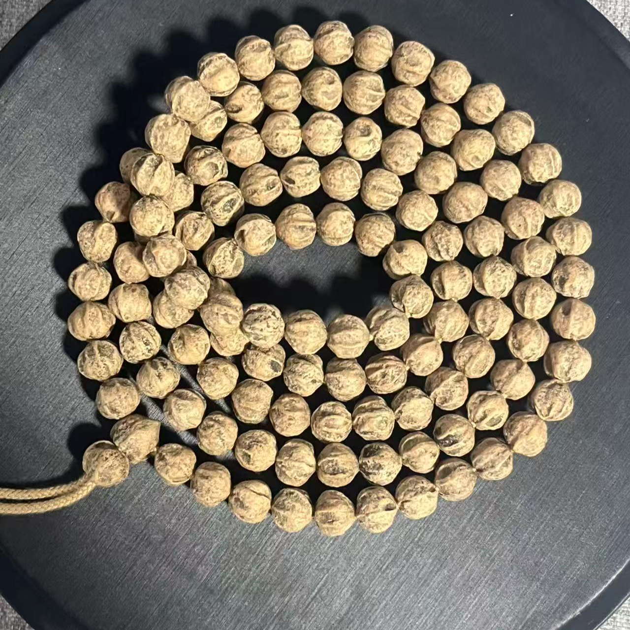 热振百香籽【磐石】矮桩红芽莲花高油高密鬼脸  