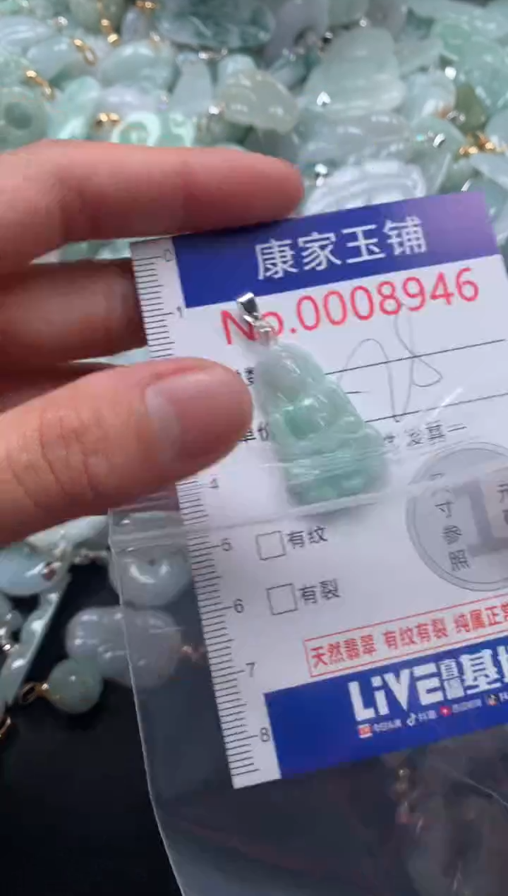 颈饰未镶嵌翡翠8946