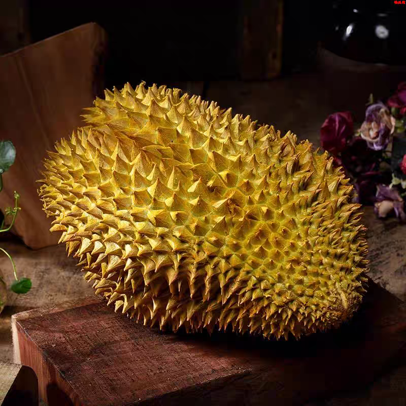 树上熟榴莲鲜果6.5斤