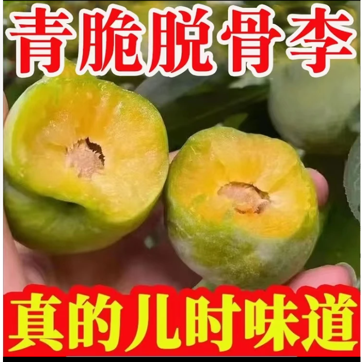 正宗四川青脆李脱骨李新鲜李子现摘现发脆甜多汁新鲜水果