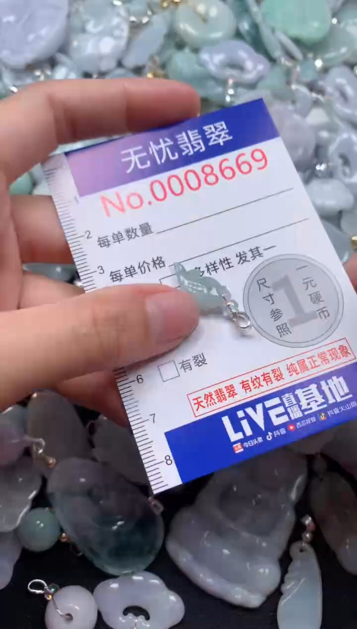 颈饰未镶嵌翡翠8669