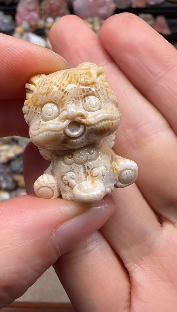 【闪购商品】硅化珊瑚（珊瑚玉）颈饰未镶嵌797