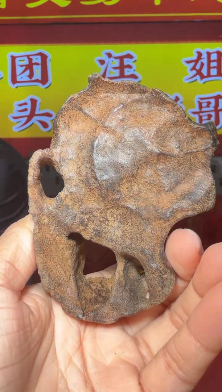 【闪购商品】沉香吊坠多样性发一