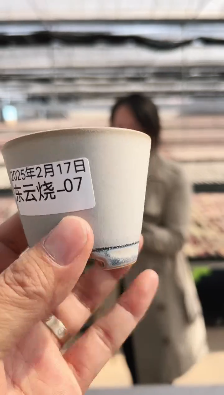 【闪购商品】东云烧-7