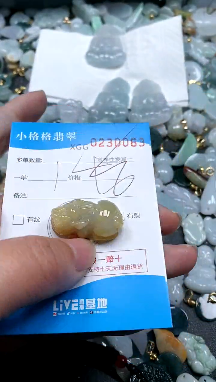 【闪购商品】翡翠颈饰未镶嵌闪购商品0230063