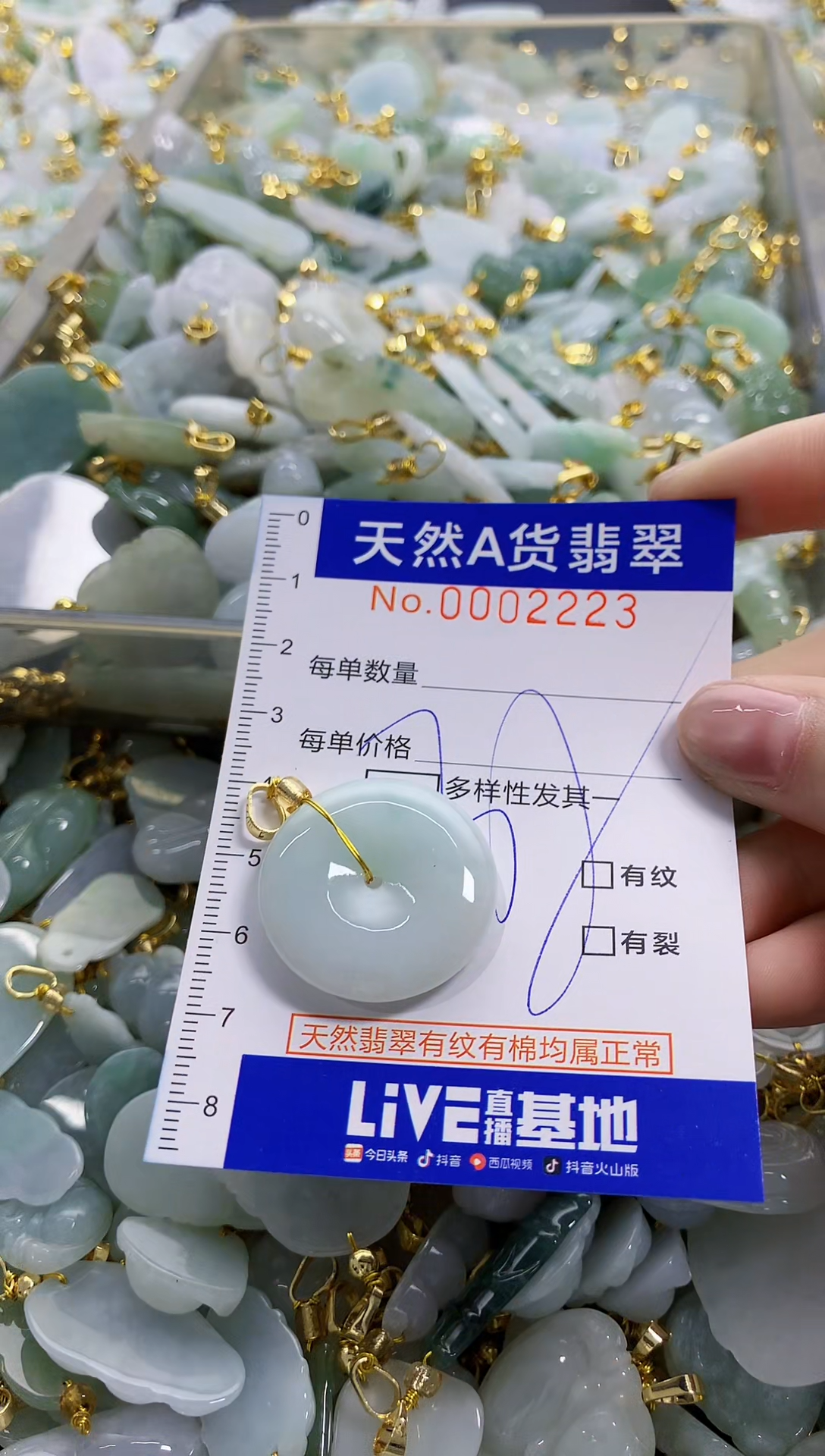 颈饰未镶嵌翡翠纯天然a货翡翠