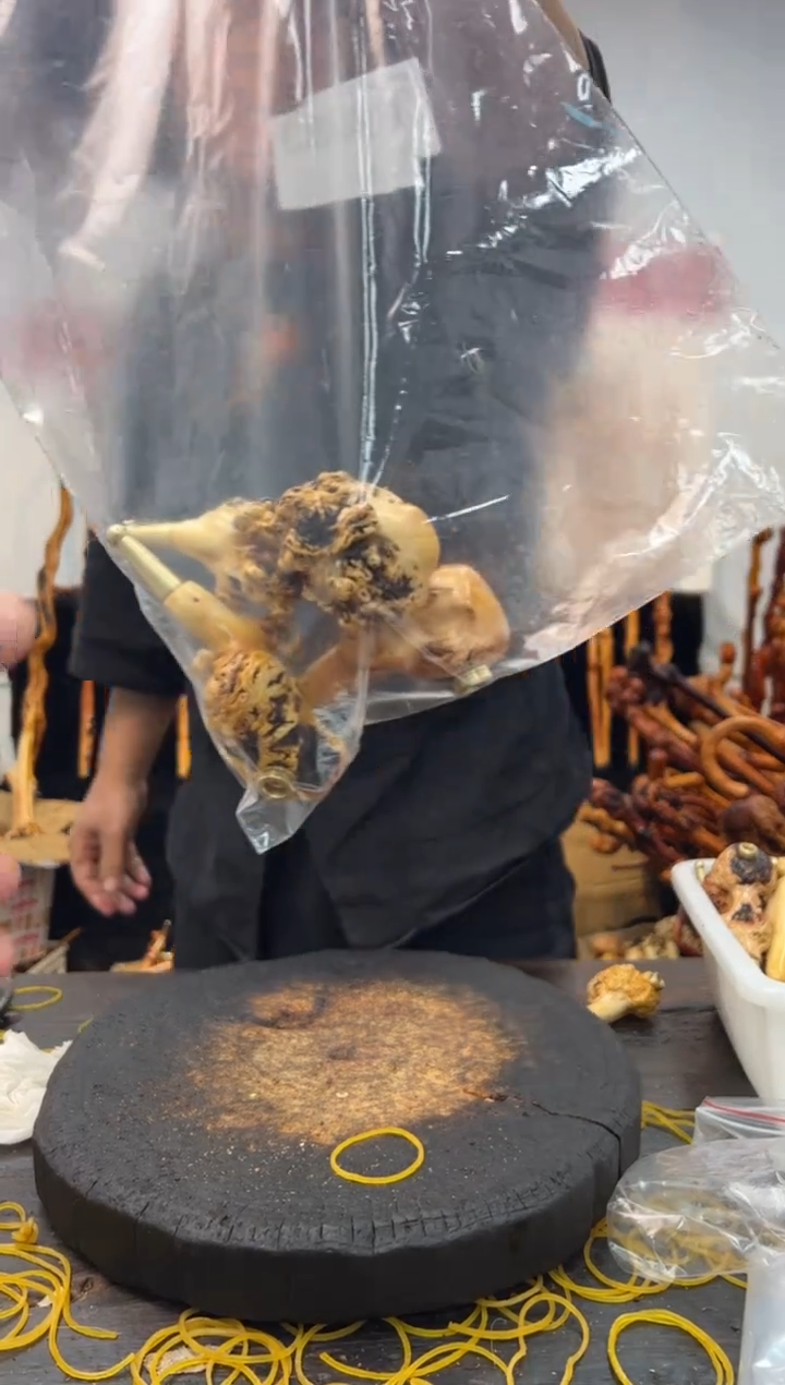 黑果木其他黑果木034