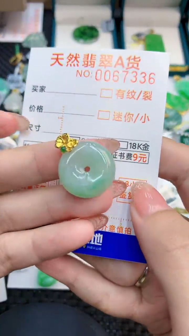 【闪购商品】翡翠银S925镶嵌颈饰            8