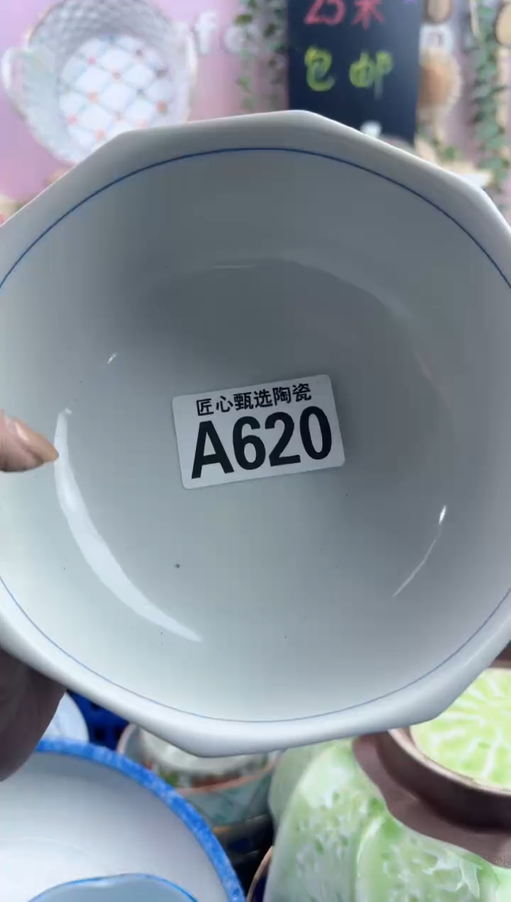 瓷片柳****6       A620