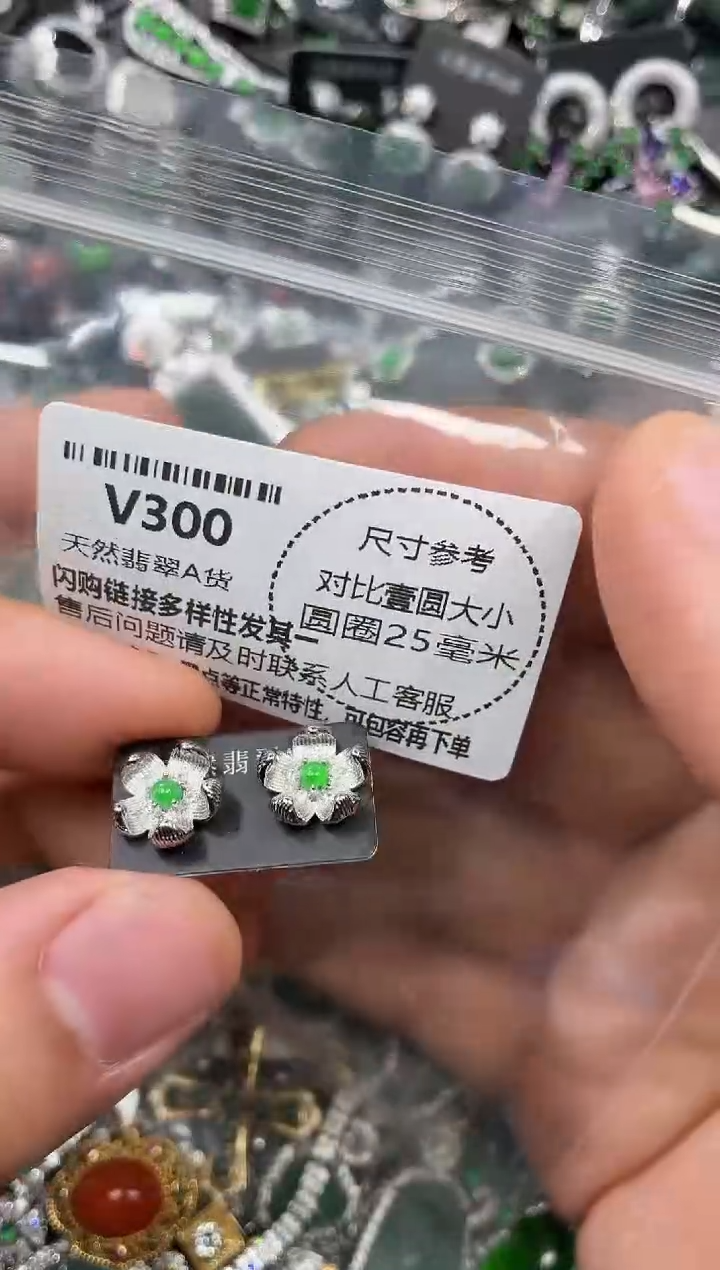 颈饰未镶嵌翡翠V300耳钉