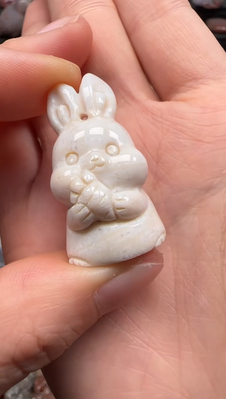 【闪购商品】硅化珊瑚（珊瑚玉）颈饰未镶嵌603