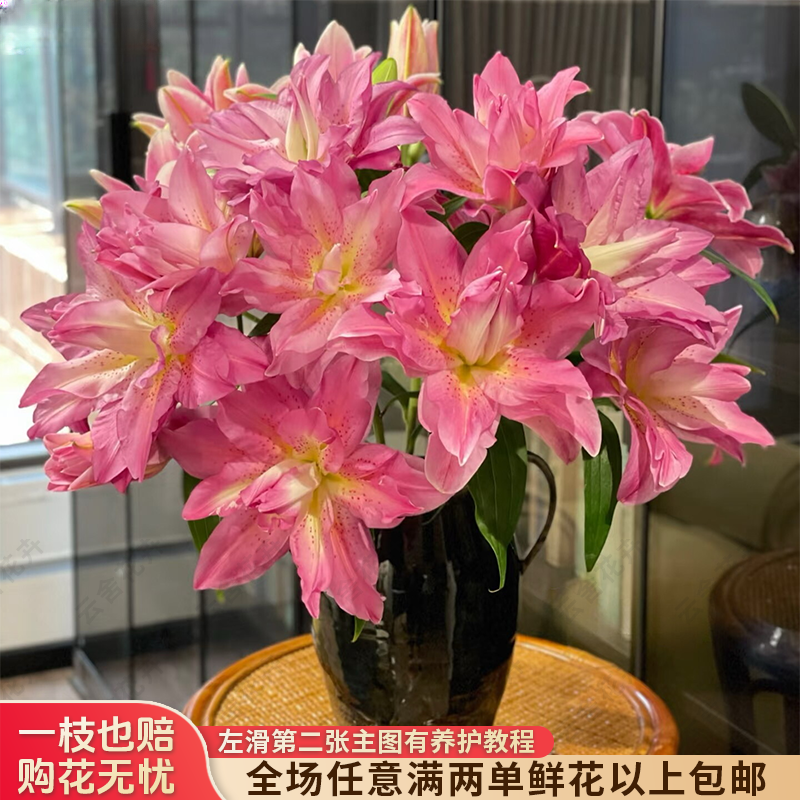 【与花同行】【宝莲灯】重瓣百合【上色差异】满两单鲜花包邮
