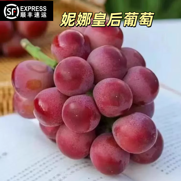 妮娜皇后葡萄无籽红宝石红提新鲜女皇尼娜当季鲜果孕妇宝妈水果