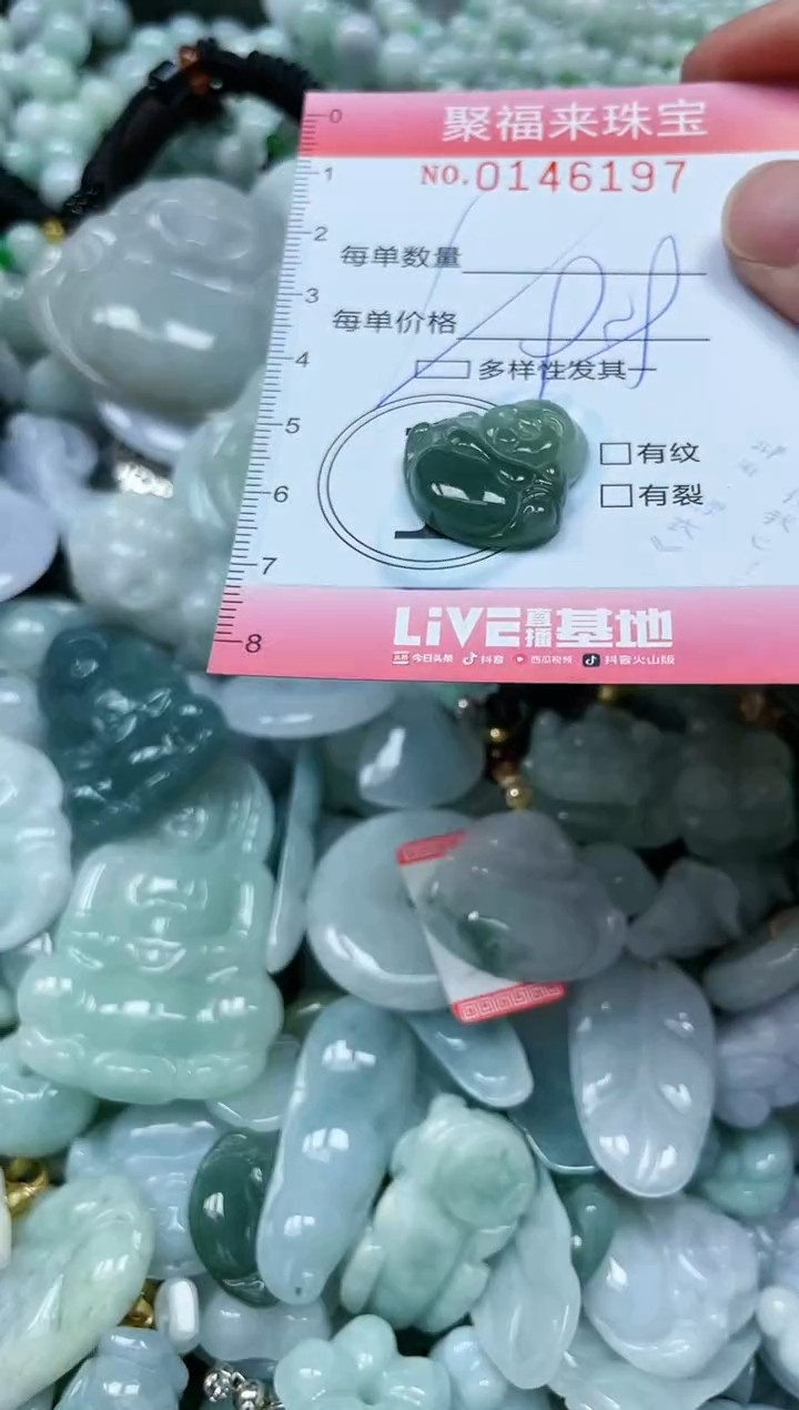 【闪购商品】翡翠未镶嵌颈饰闪购0146197多样性发其一