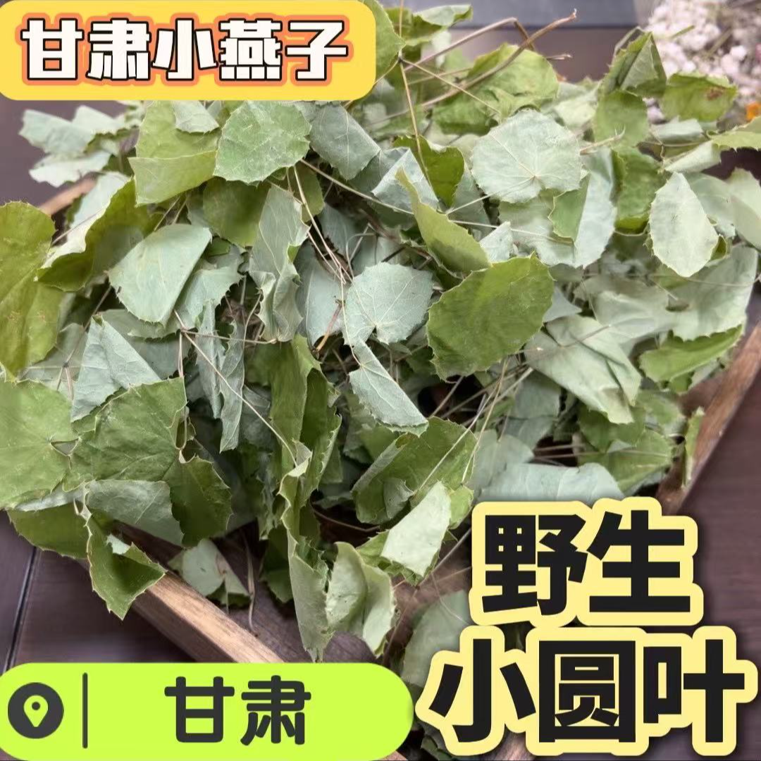 甘肃野生小圆叶三支九叶草农户直供产地直发泡茶泡水泡酒