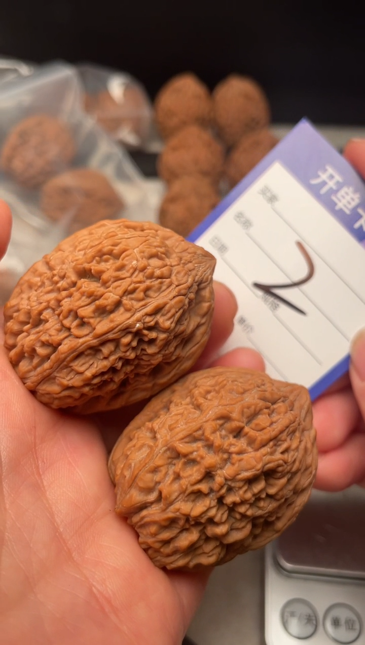 木质36尺红皮大蒜头