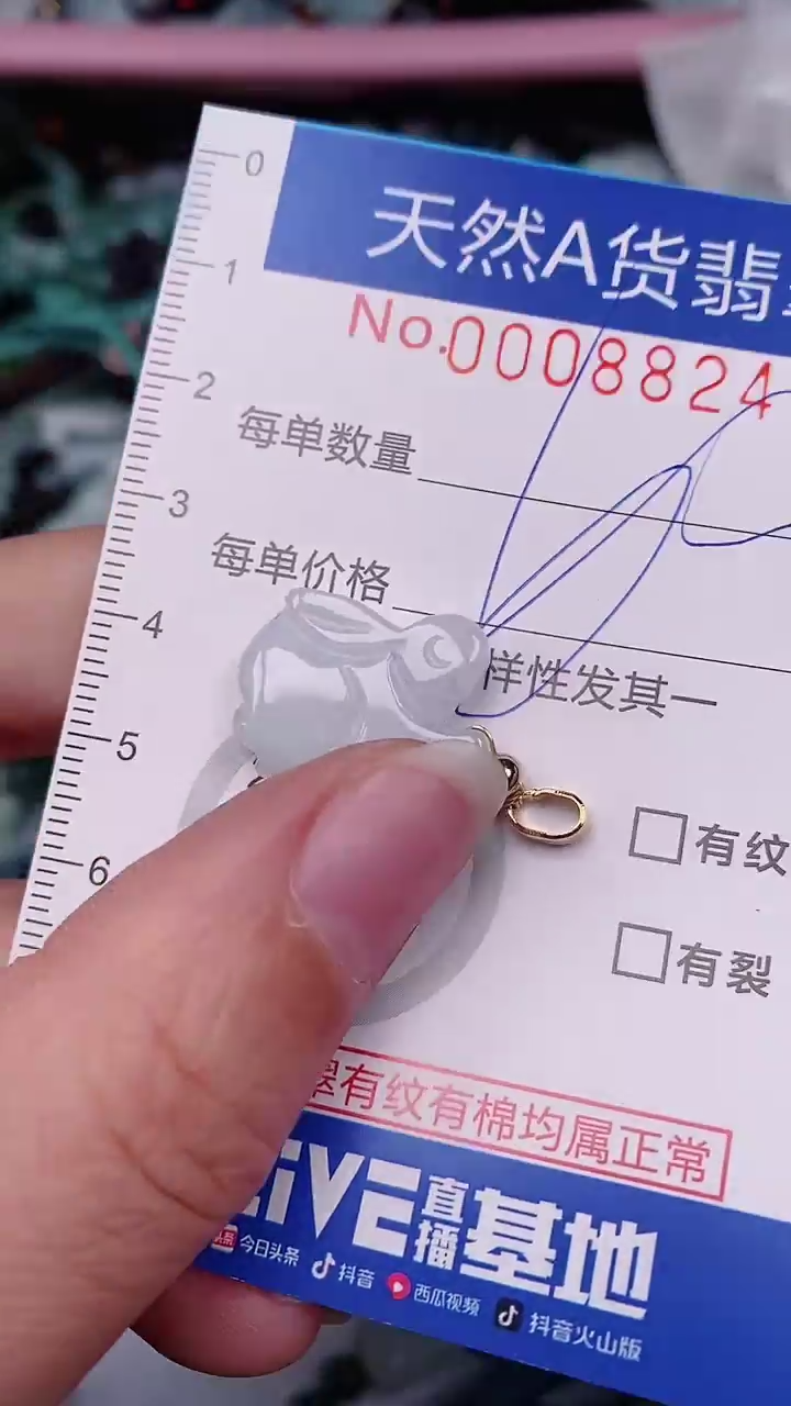 【闪购商品】翡翠颈饰未镶嵌00008824