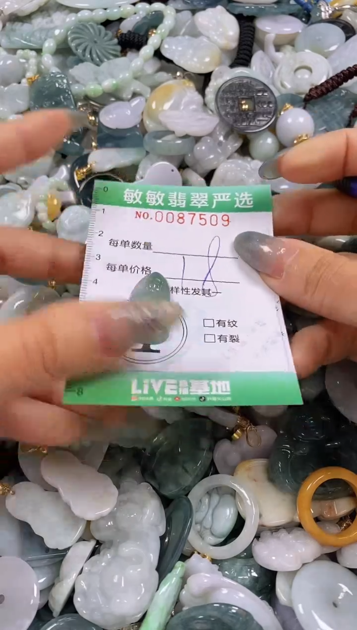 【闪购商品】翡翠颈饰未镶嵌闪购0087509