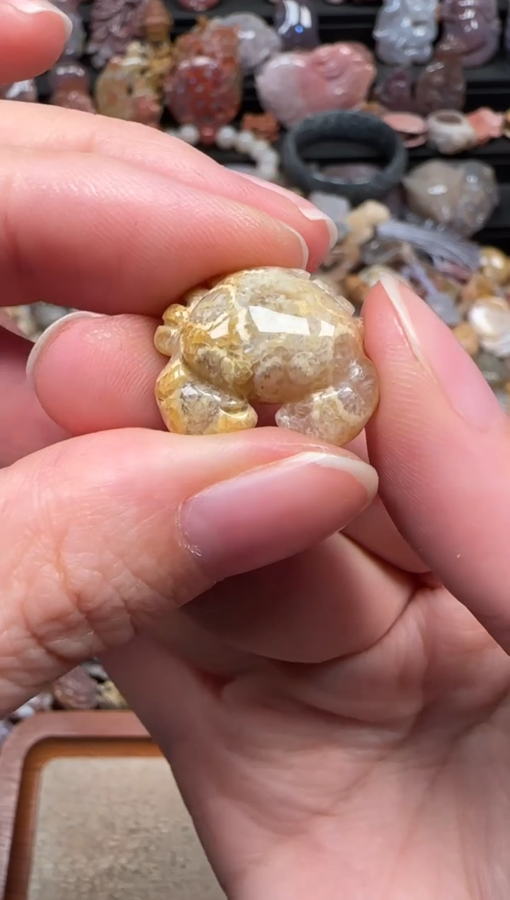 颈饰未镶嵌硅化珊瑚（珊瑚玉）770