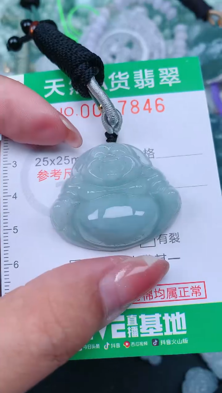 【闪购商品】翡翠颈饰未镶嵌.0007846