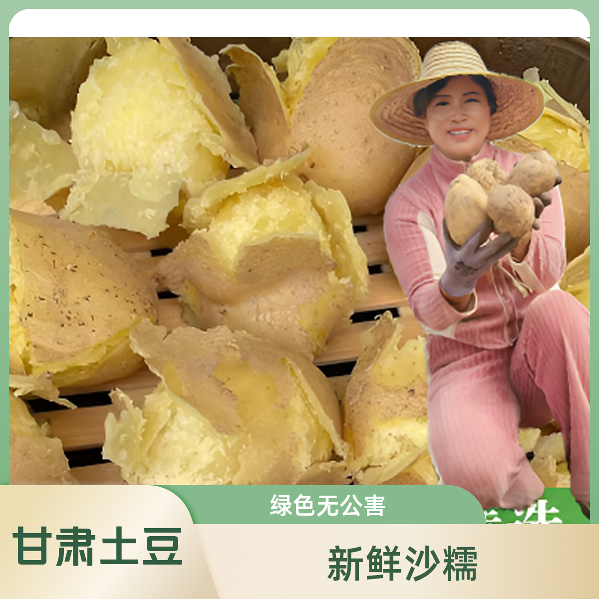 甘肃定西黄皮黄心小土豆2-4两煎烤炸拌辣椒都很香沙糯粉面