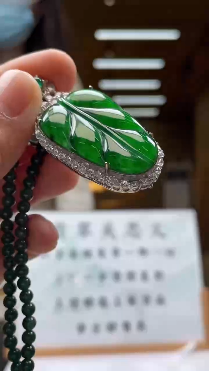 翡翠未镶嵌颈饰********160