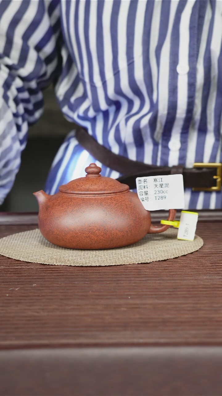 茶壶紫砂T289 天星泥 寒江 230cc