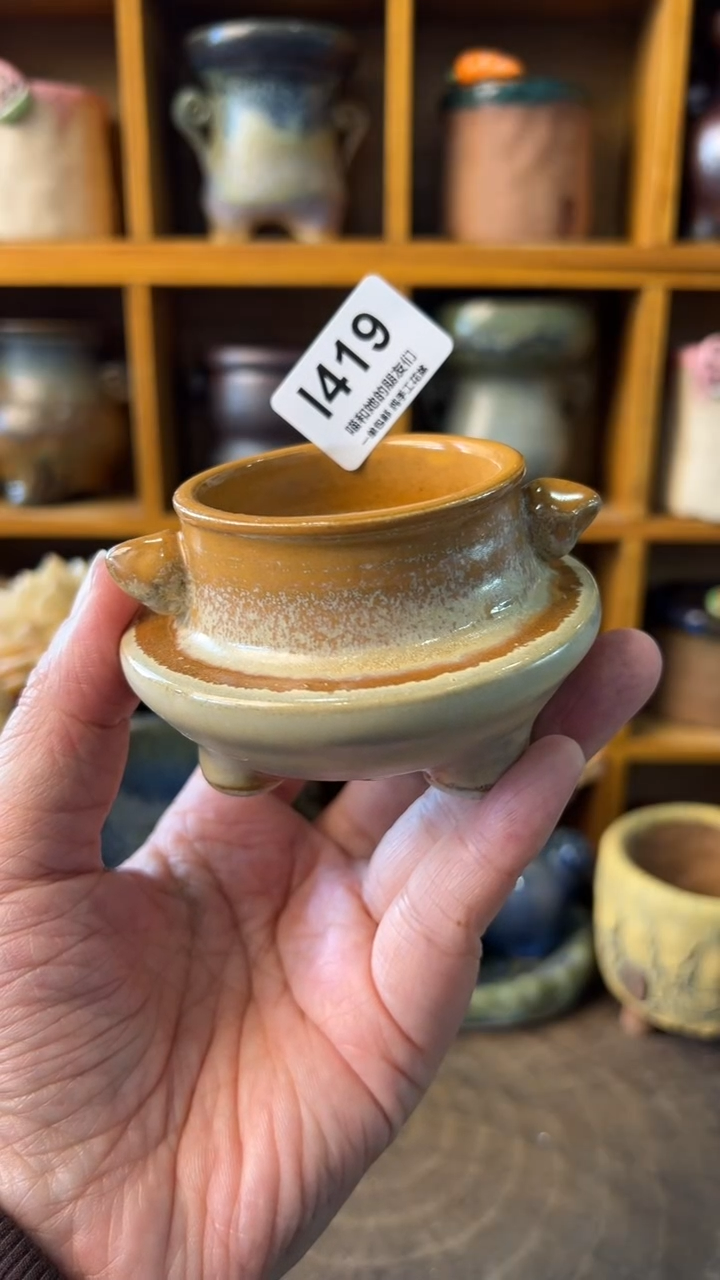 419 内口5【多肉花盆多肉盆】